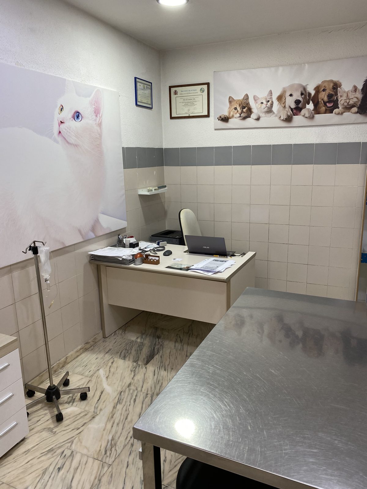 Consulta veterinaria en Badajoz con mesa de exploración en Centro Veterinario Ciudad Jardín