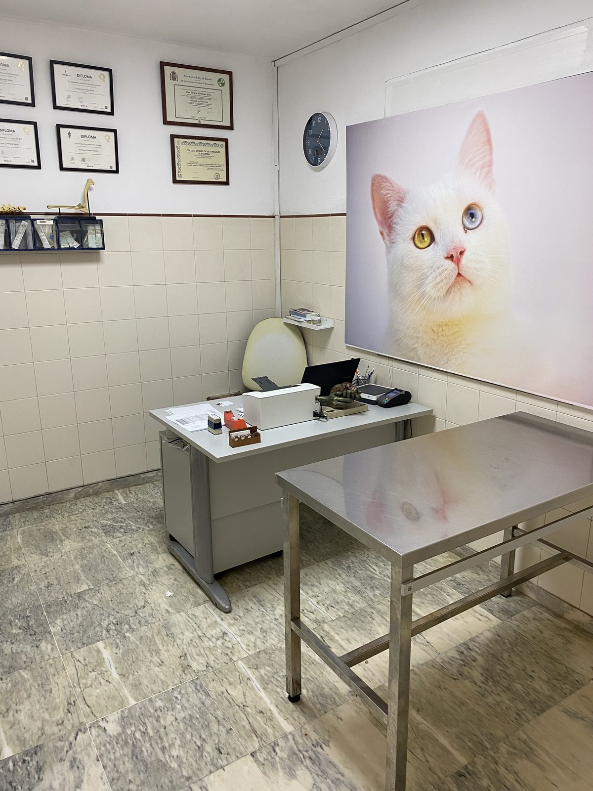 Vacunación de mascotas en clínica veterinaria de Badajoz — Centro Veterinario Ciudad Jardín