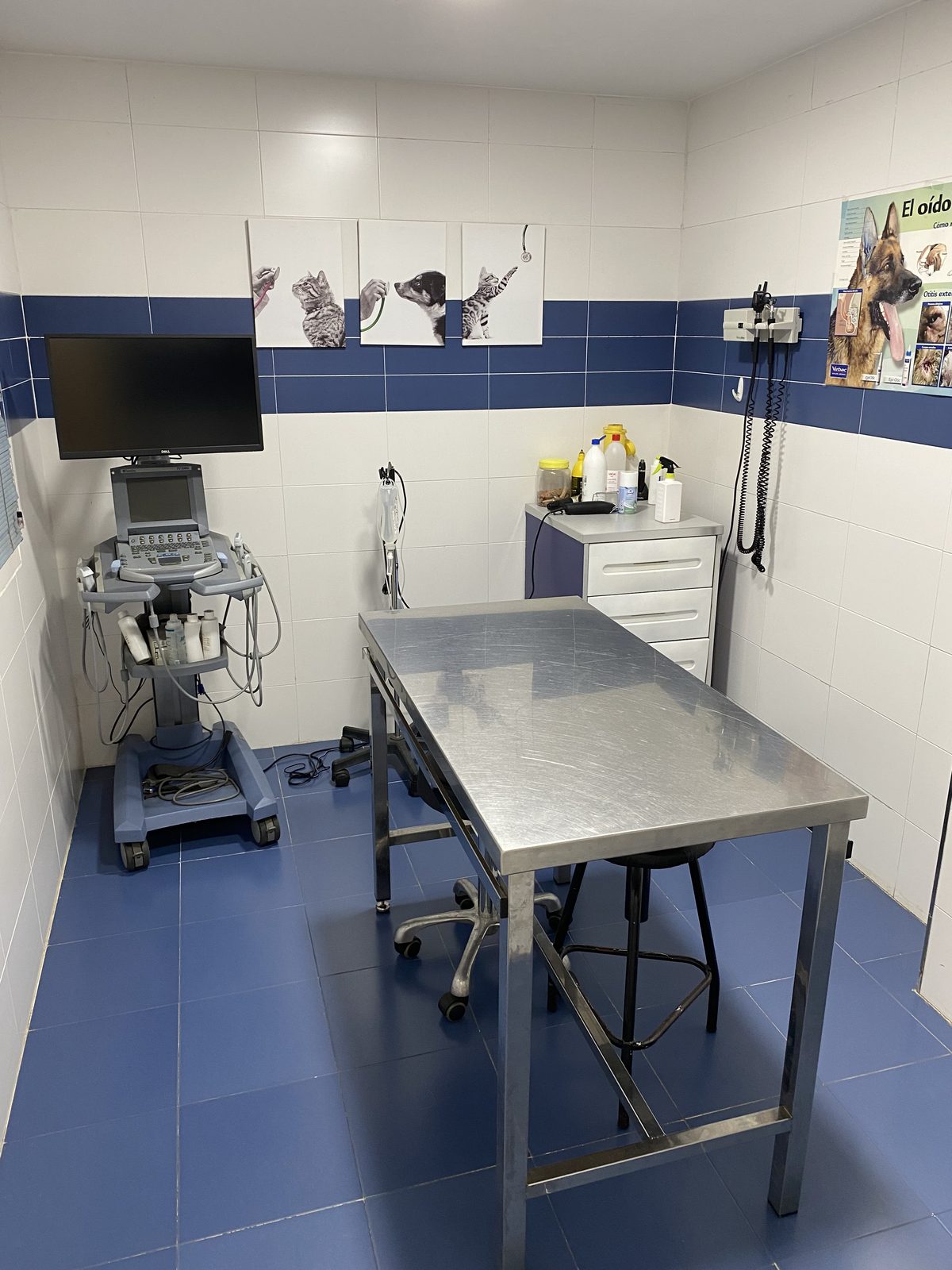 Sala de ecografía veterinaria en Badajoz — Centro Veterinario Ciudad Jardín