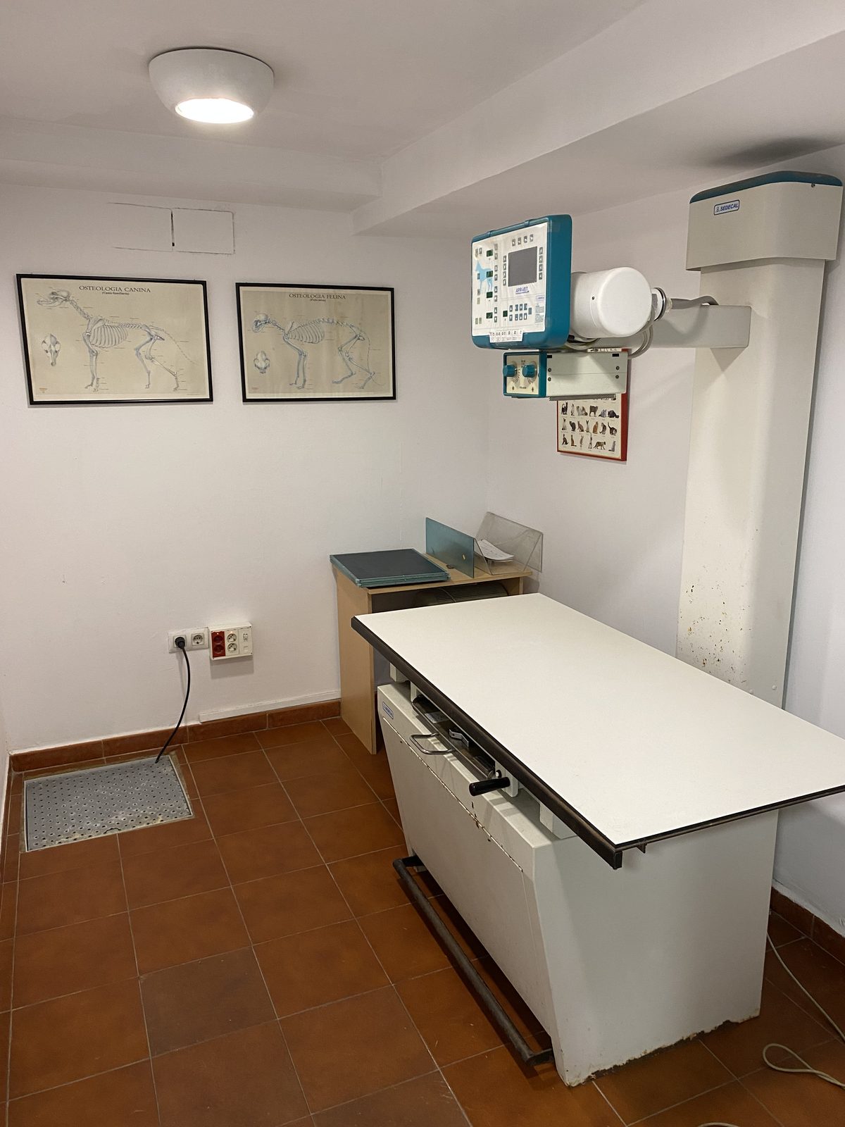 Sala de radiología digital veterinaria en Badajoz — Centro Veterinario Ciudad Jardín